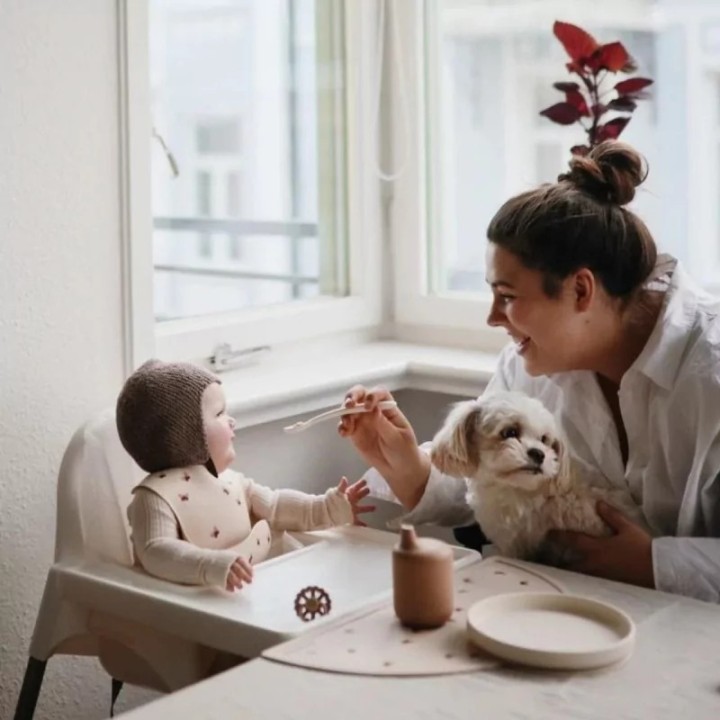 Assiette classique en silicone