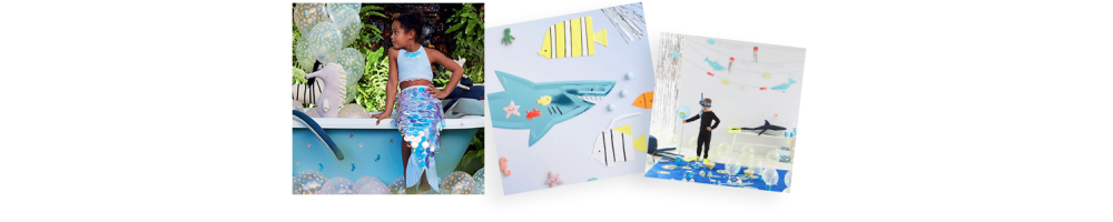 Under the sea themafeestje