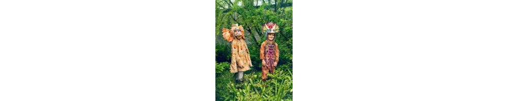COSTUMES | Déguisement enfant : astronaute, sorciere, chevalier...