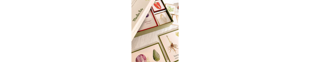 Les meilleurs jeux de cartes | En famille, facile, rapide & ultra cool !