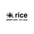 Rice